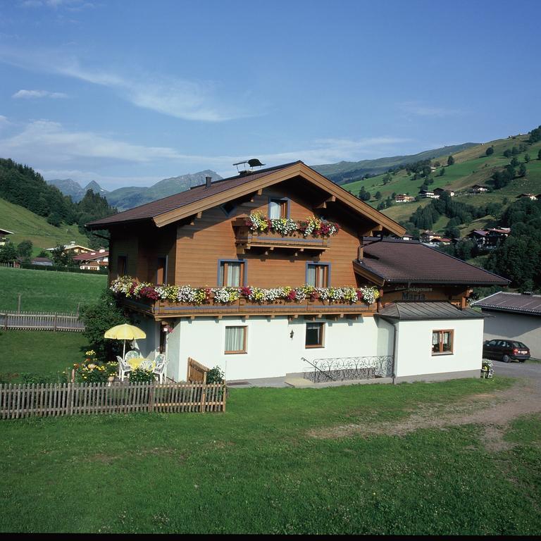 Ski & Bike Pension Maria Bed and Breakfast Saalbach-Hinterglemm Esterno foto